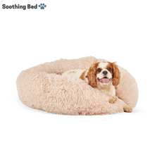 Load image into Gallery viewer, Soothing Bed