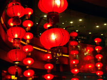 Load image into Gallery viewer, Dodgey Dumpings (饺子)